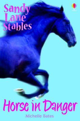 Horse in Danger by Michelle Bates image
