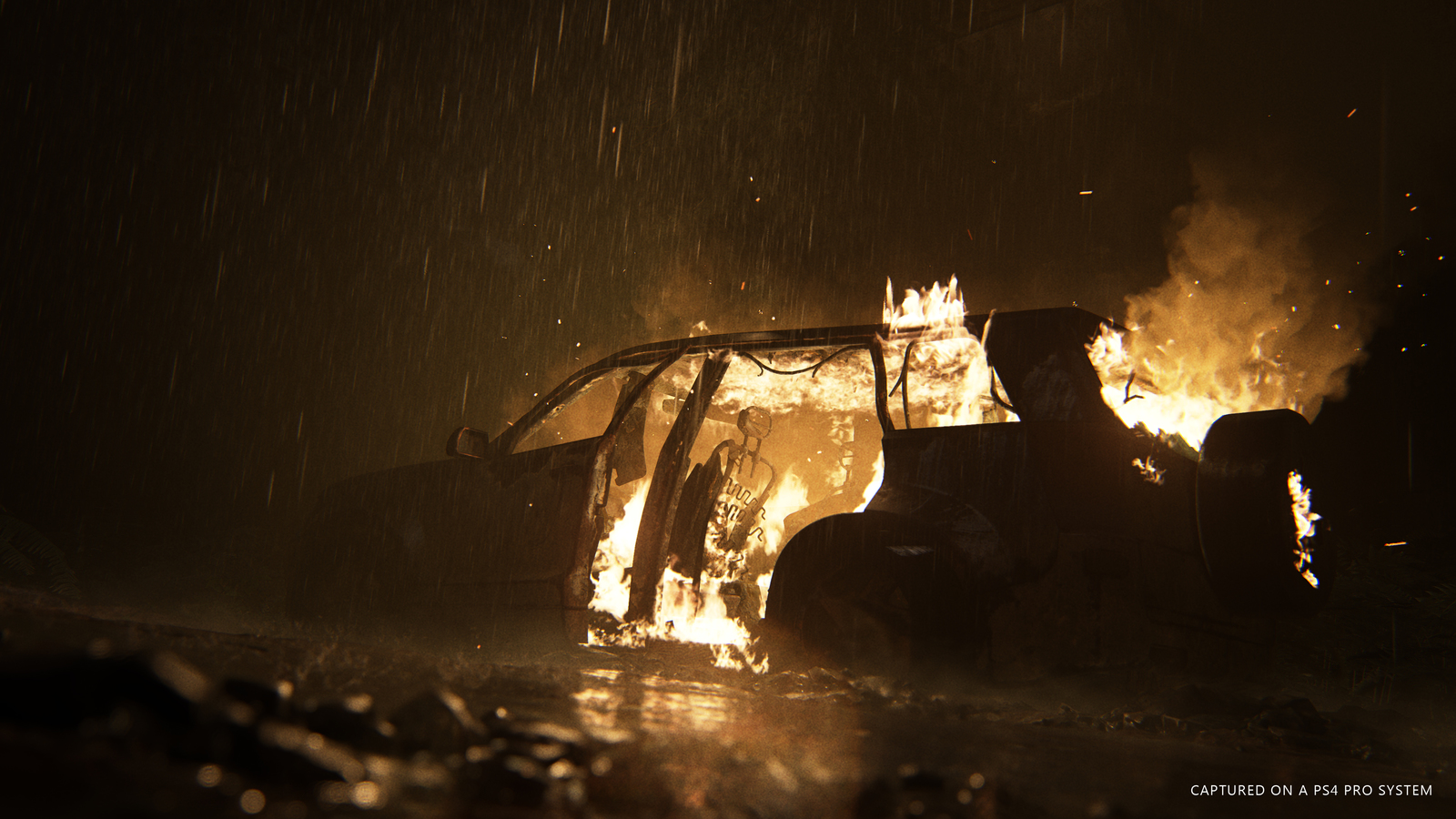 The Last of Us 2 for PS4 image
