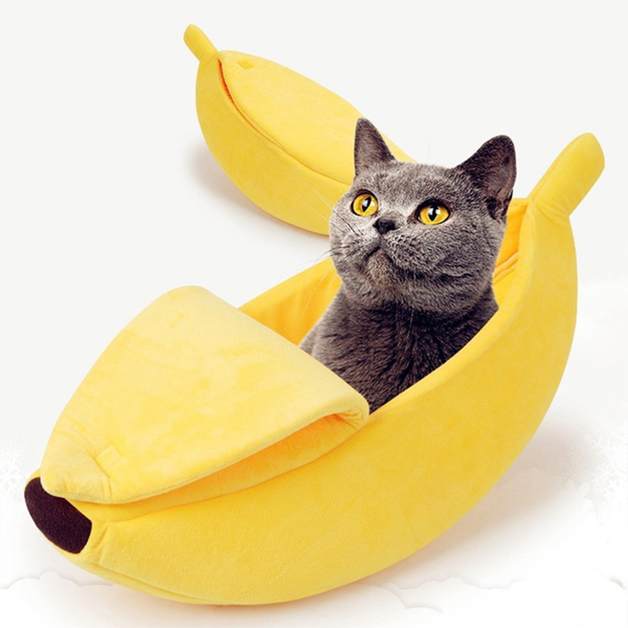 Buy Cute Banana Cat Bed at Mighty Ape NZ