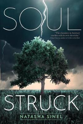 Soulstruck by Natasha Sinel image