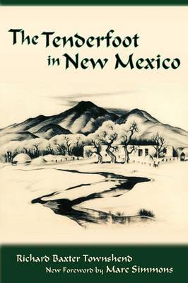 The Tenderfoot in New Mexico by R. B. Townshend image