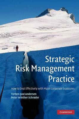 Strategic Risk Management Practice by Torben Juul Andersen image