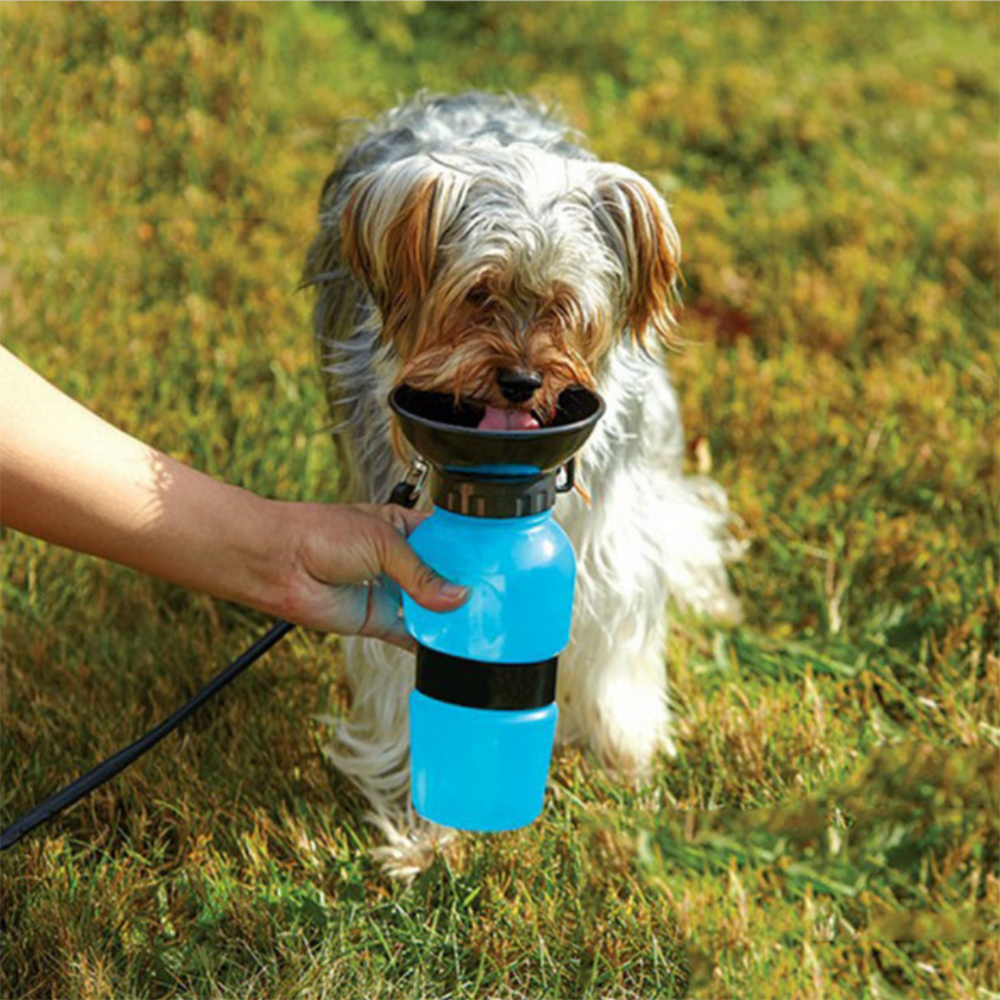 Ape Basics: Portable Pet Dog Water Bottle image