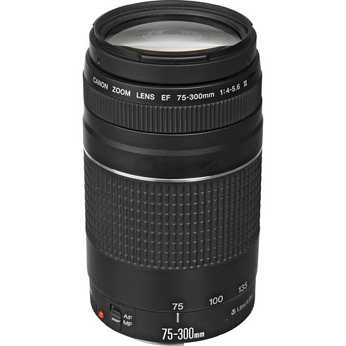 Canon EF 75-300mm f/4-5.6 III Telephoto Zoom DSLR Lens image