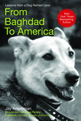 From Baghdad to America by Jay Kopelman image