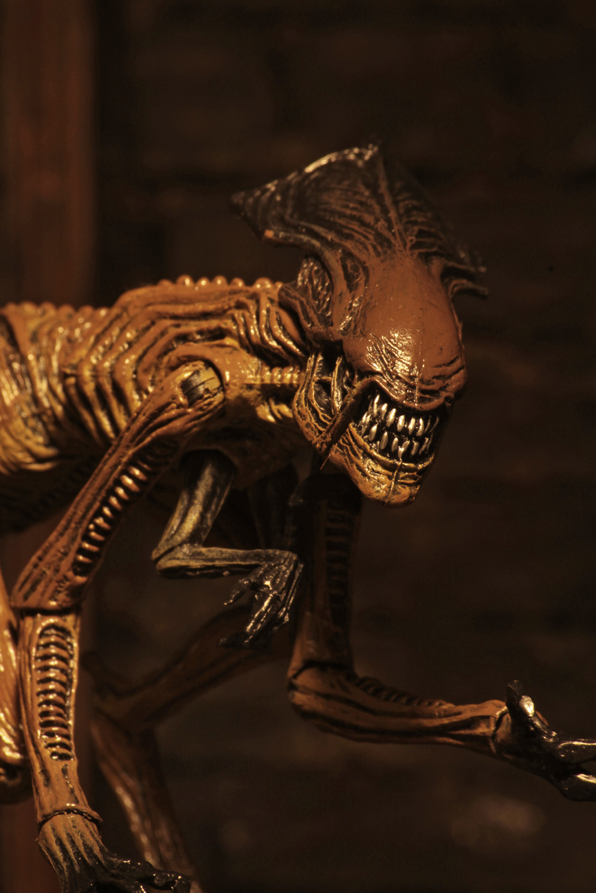 Alien 3: Creature Accessory Pack - (Scales with 7" Figures) image