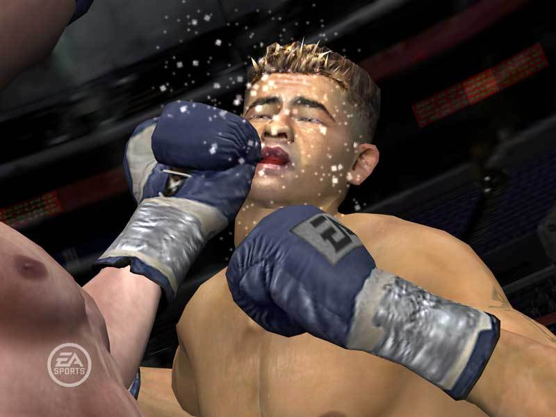 Fight Night Round 3 for Xbox image