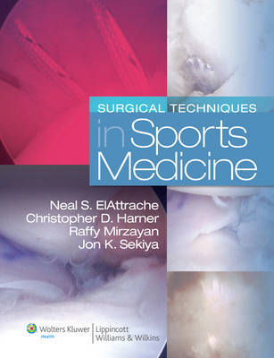 Surgical Techniques in Sports Medicine image