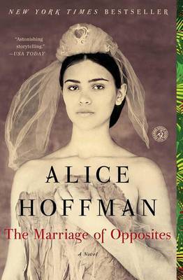 The Marriage of Opposites by Alice Hoffman image