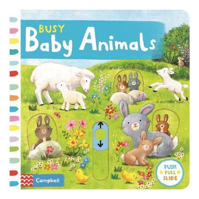 Busy Baby Animals image