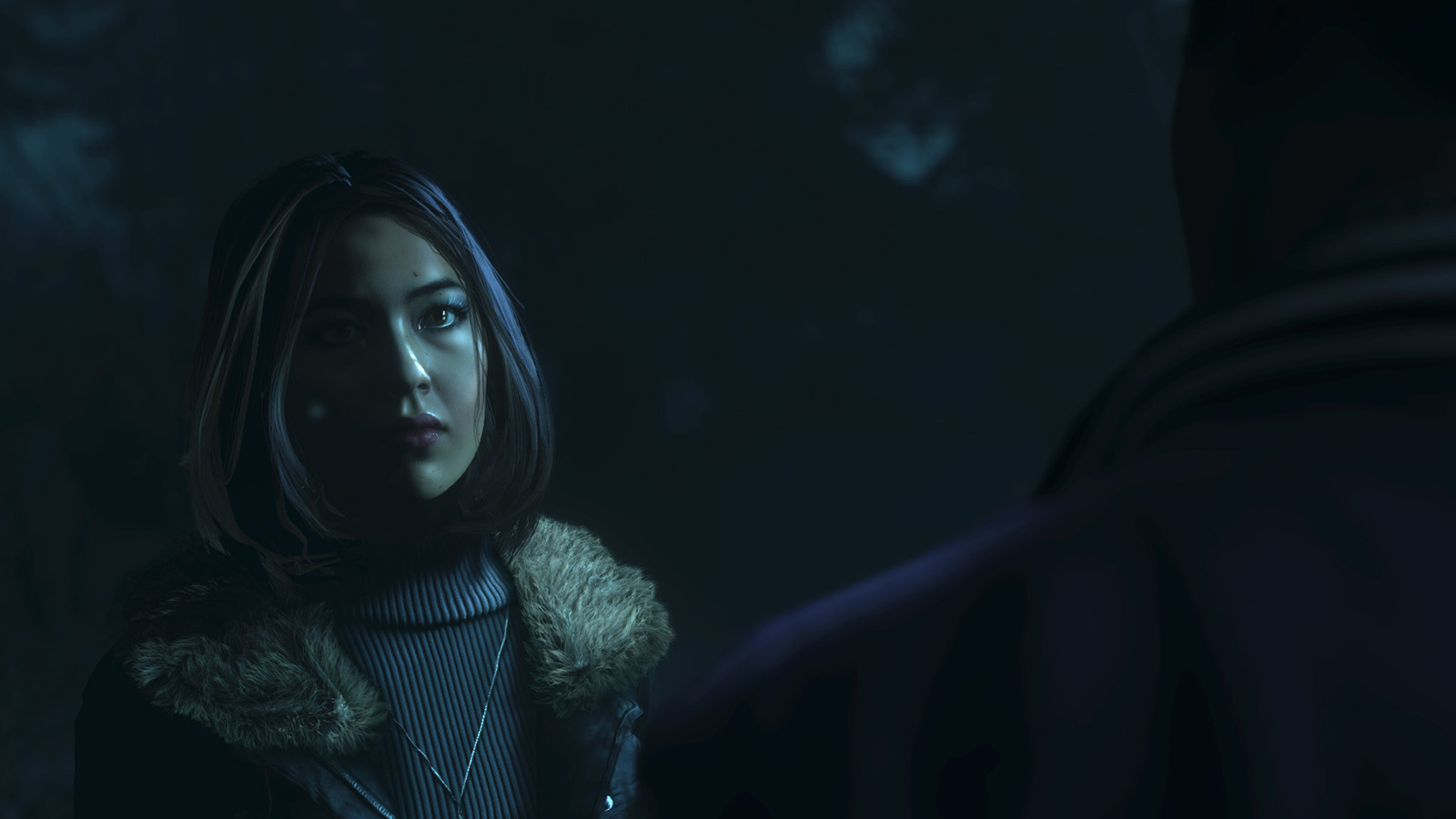 Until Dawn Extended Edition for PS4 image
