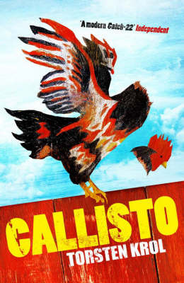 Callisto by Torsten Krol image