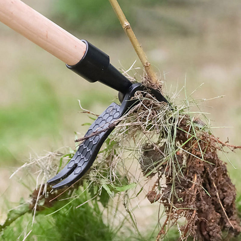 Standing Manual Weed Puller at Mighty Ape NZ