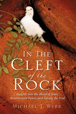 In the Cleft of the Rock by Michael J Webb image
