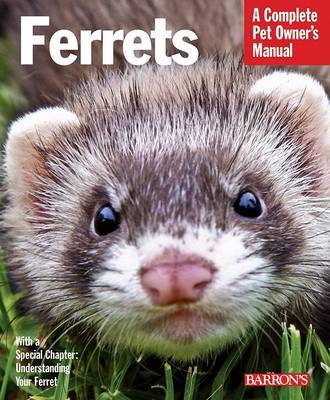 Ferrets by Christine Mathis image