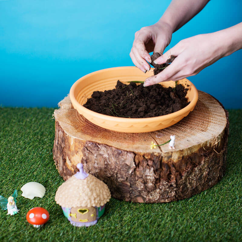 My Fairy Garden - Fairy Garden image
