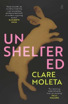 Unsheltered by Clare Moleta image