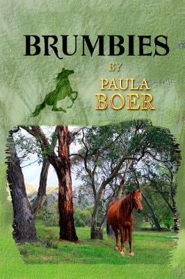 Brumbies by Paula Boer image