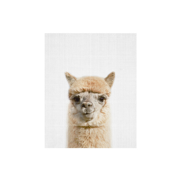 IXXI Alpaca Wall Art (80cm x 100cm) at Mighty Ape NZ