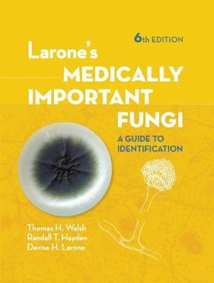 Larone's Medically Important Fungi by Tom Walsh image