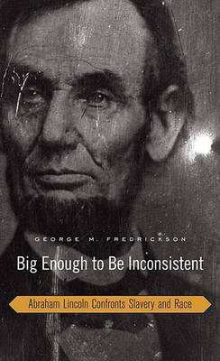 Big Enough to be Inconsistent by George M Fredrickson image