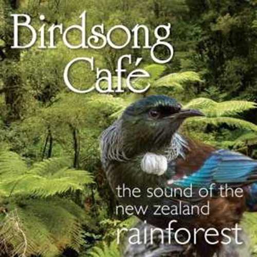 Birdsong Cafe: The Sound Of New Zealand Rainforest by Birdsong Cafe image