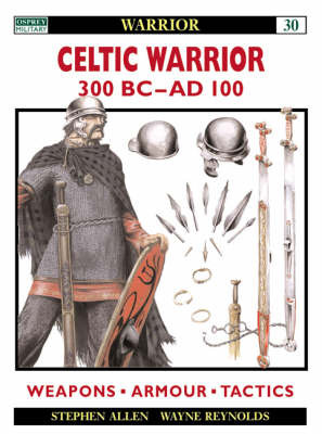 Celtic Warrior by Stephen Allen image