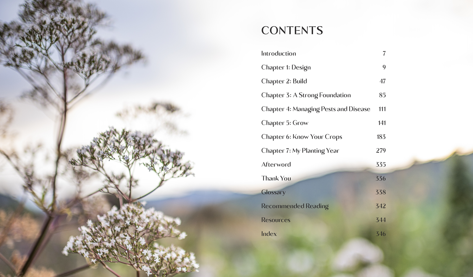 The Edible Backyard by Kath Irvine image