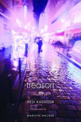 Treason by Hedi Kaddour image