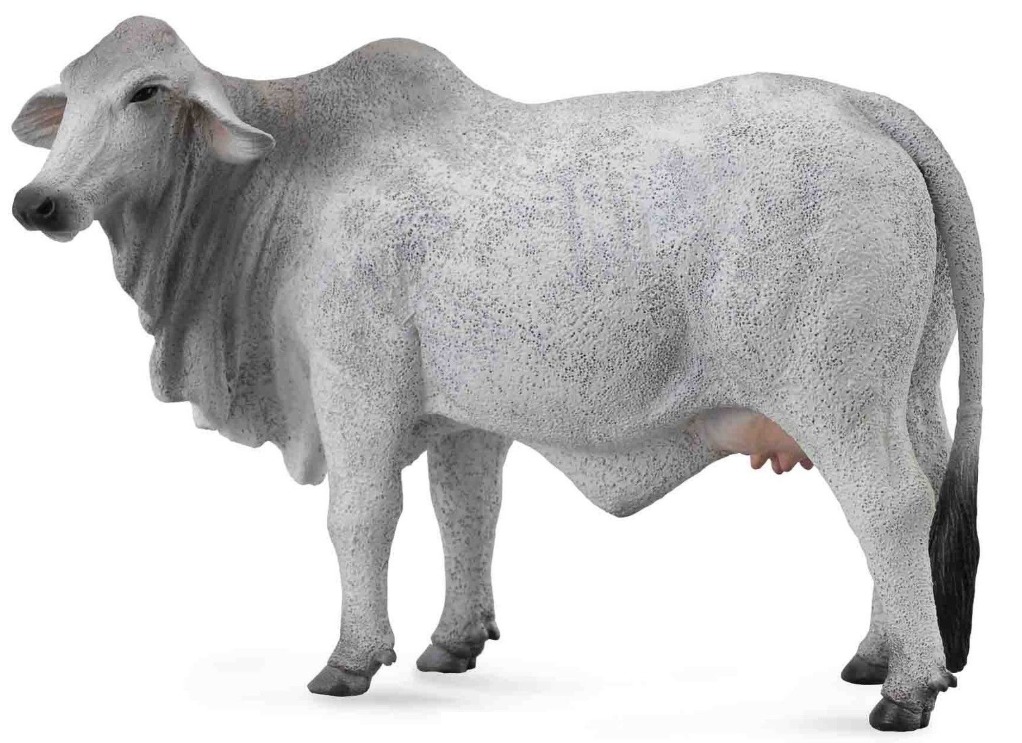 CollectA - Brahman Cow image