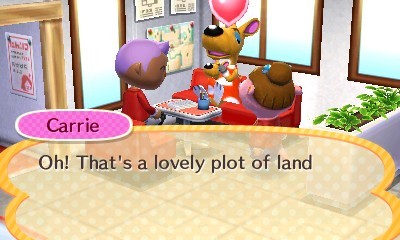 Animal Crossing: Happy Home Designer on 3DS