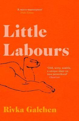 Little Labours by Rivka Galchen image