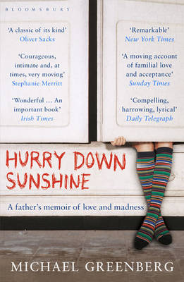 Hurry Down Sunshine by Michael Greenberg image