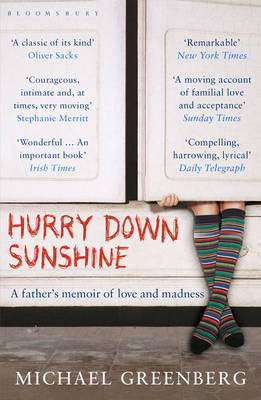 Hurry Down Sunshine by Michael Greenberg