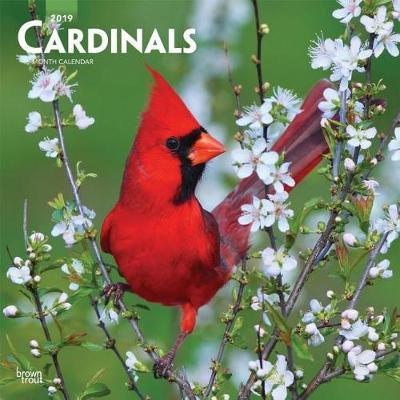 Cardinals 2019 Square image