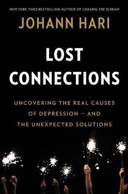 Lost Connections on Hardback by Johann Hari