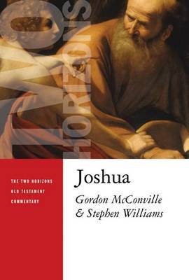 Joshua by Gordon McConville image