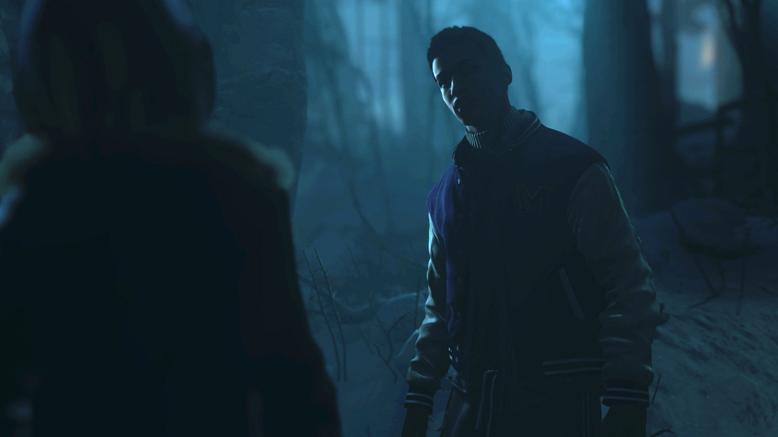 Until Dawn Extended Edition for PS4 image