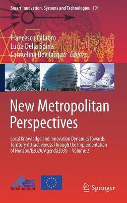 New Metropolitan Perspectives image