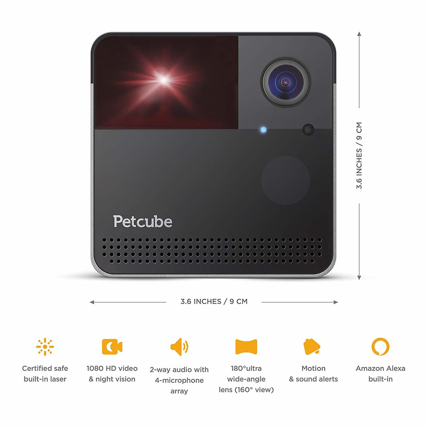 petcube nz