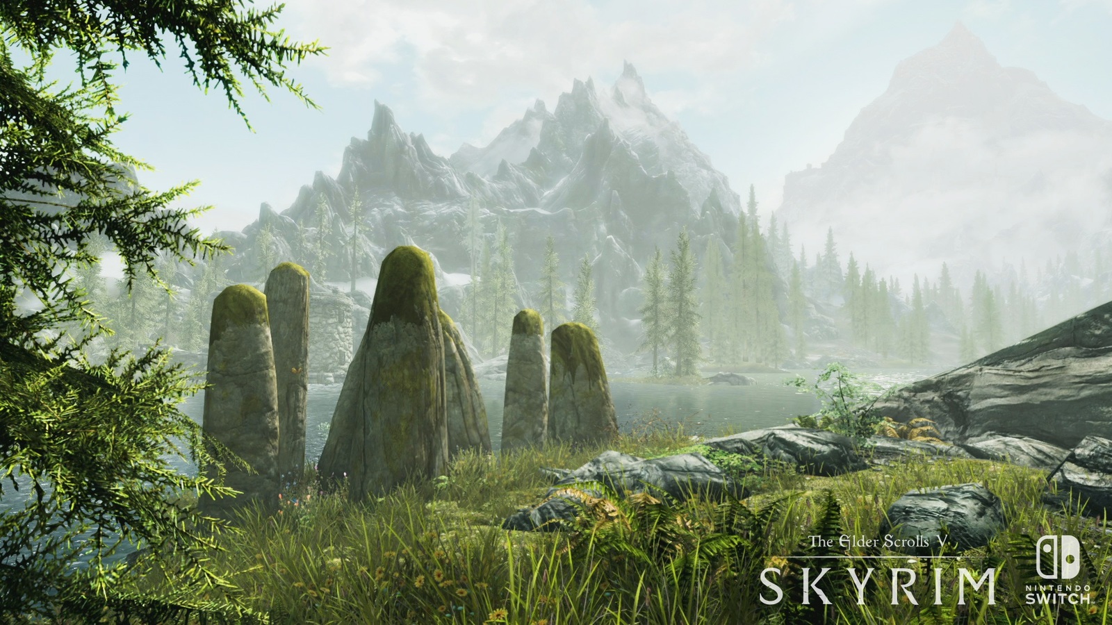 The Elder Scrolls V: Skyrim for Nintendo Switch image
