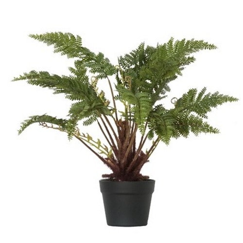 General Eclectic: Artificial Plant - Small Fern image