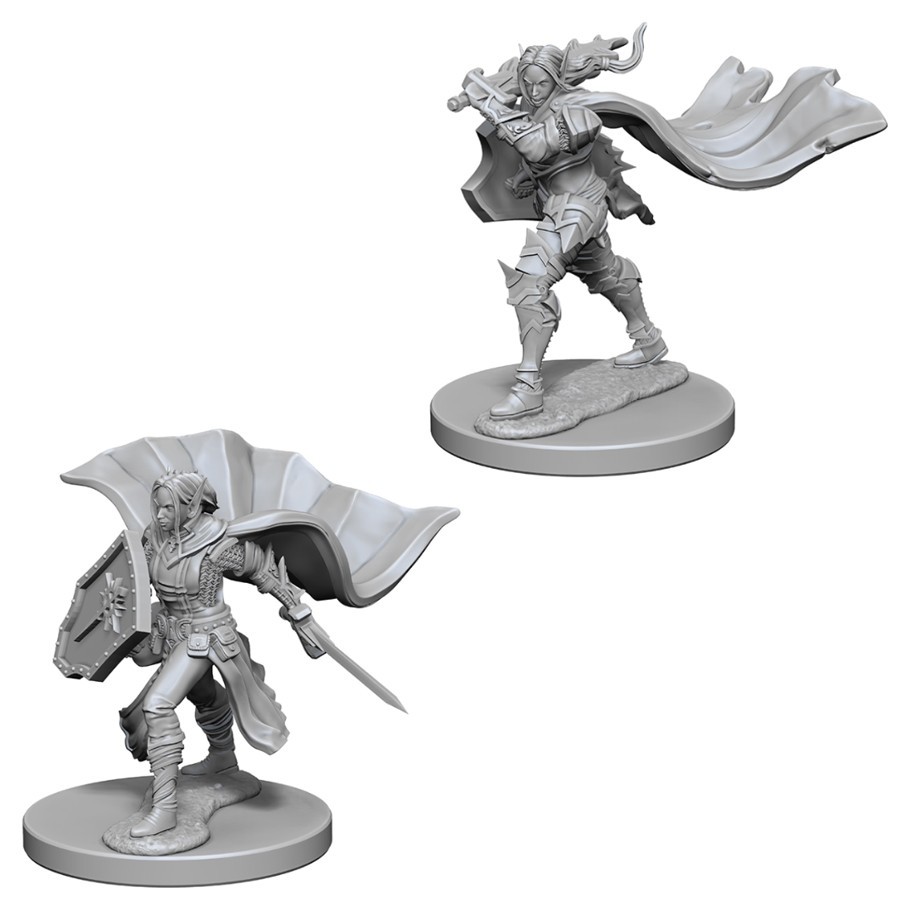 Pathfinder Deep Cuts: Unpainted Miniatures - Elf Female Paladin image