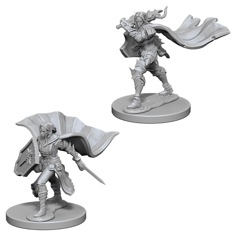 Pathfinder Deep Cuts: Unpainted Miniatures - Elf Female Paladin