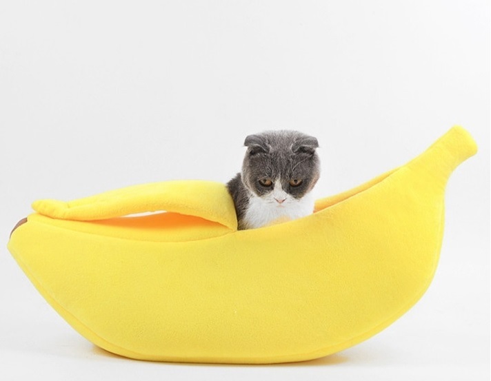 Banana Cat Bed