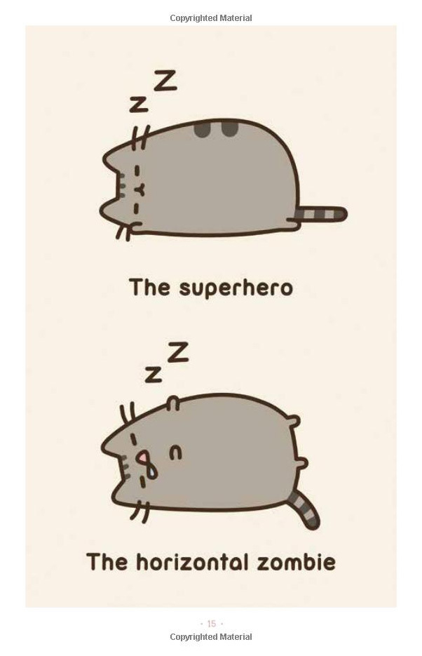 I Am Pusheen the Cat image