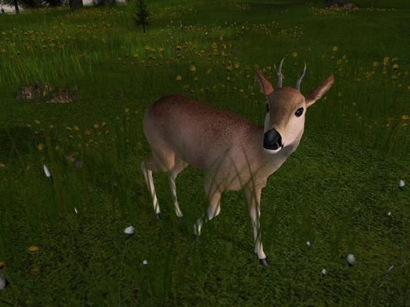 Deer Hunter: The 2005 Season image