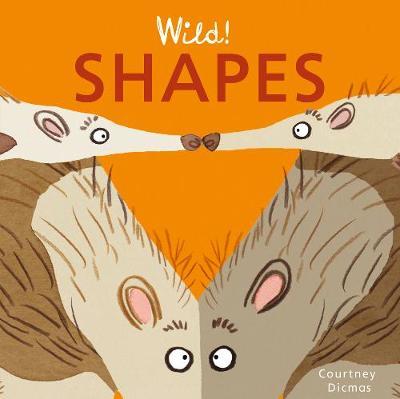 Shapes by Courtney Dicmas