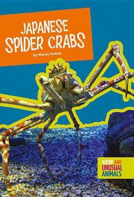 Japanese Spider Crabs by Wendy Perkins image