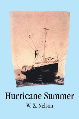 Hurricane Summer by W. Z. Nelson image